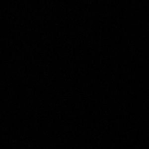 Meet your Posher, Alondra